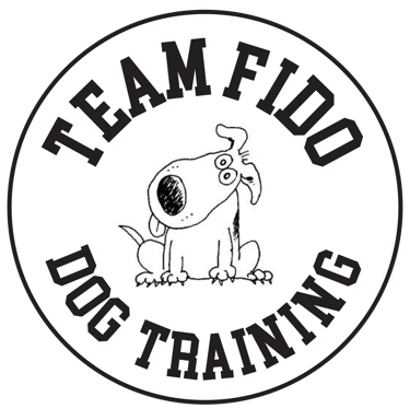 Team Fido logo
