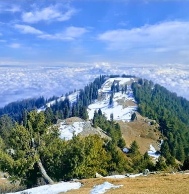 Mushkpuri top full view
