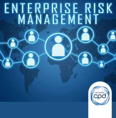 A graphic for Enterprise Risk Management showing a global network of people.