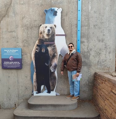 Luis standing next to a trio of bear cutoffs to compare his height.