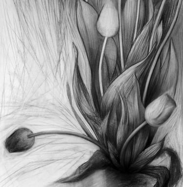 a black and white drawing of tulips