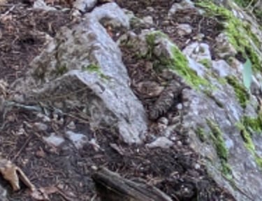 fille qui monte dans la montagne
