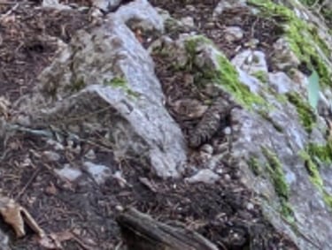 fille qui monte dans la montagne