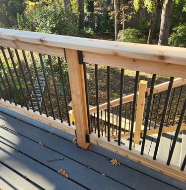 Trex decking with cedar and aluminum handrail