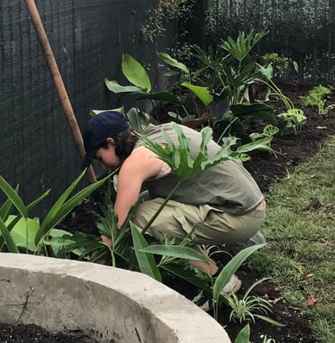 siembra de jardines