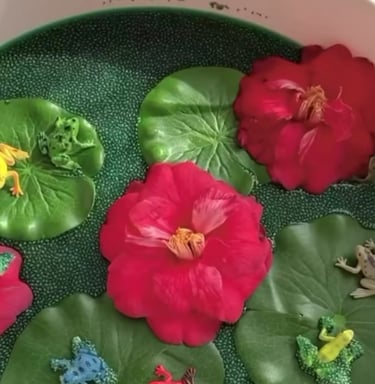 Graine de chia coloré