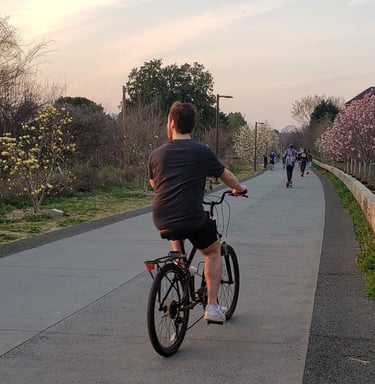 People riding bikes on a path at sunset