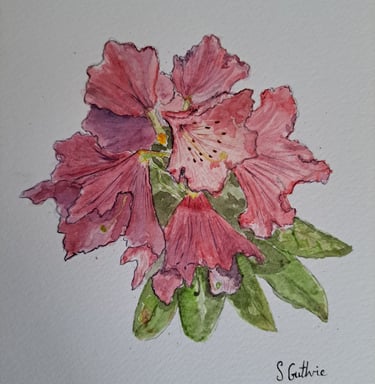 Rhododendron in Watercolour