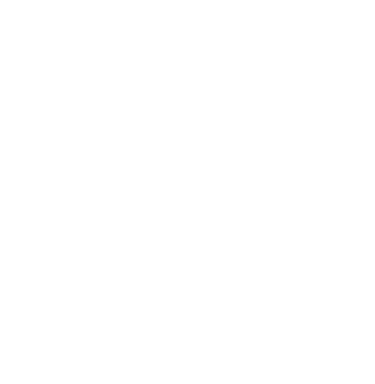 a person in a scuba suit is diving