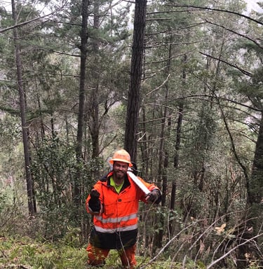 a man in a safety vest and hard hat holding a chainsaw over shoulder in the woods