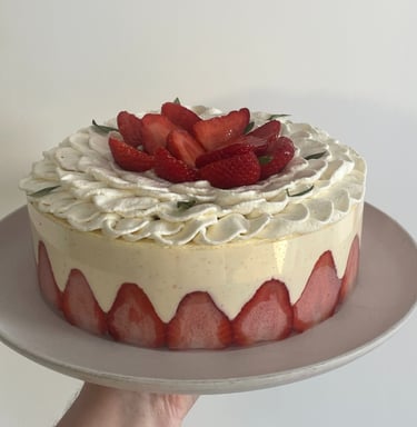 fraisier lille