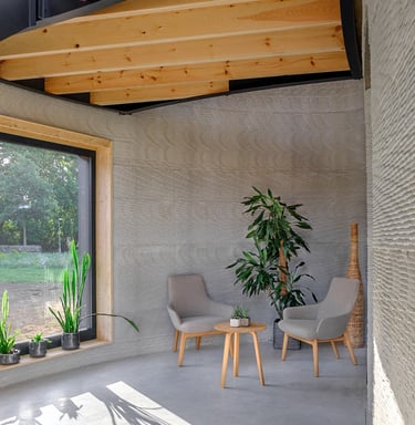 a living room with 2 chairs and a plant