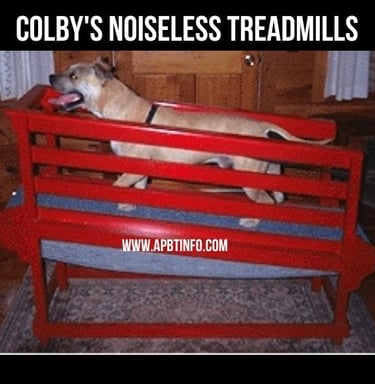 Colby Treadmills pitbull history
