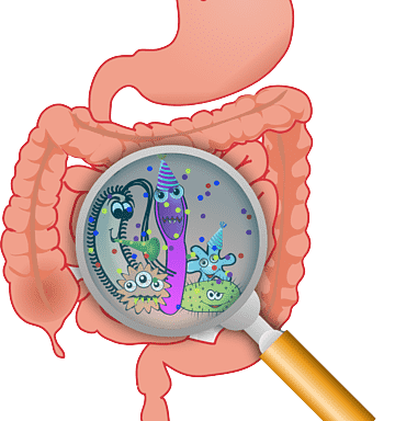 Imagen de Microbiota utilizado en la pagina web de la Dra. Arlenis Guzmán