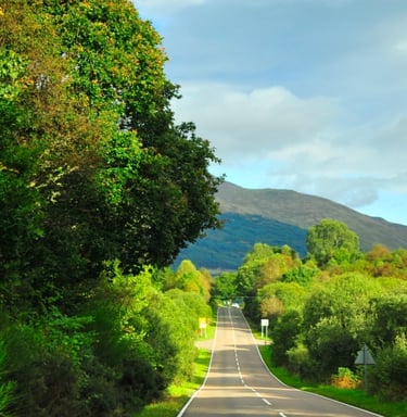 a road with a trees on each side