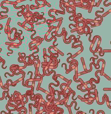 PESTICIDES BIODIVERSITÉ EXTINCTION MASSE VERS DE TERRE