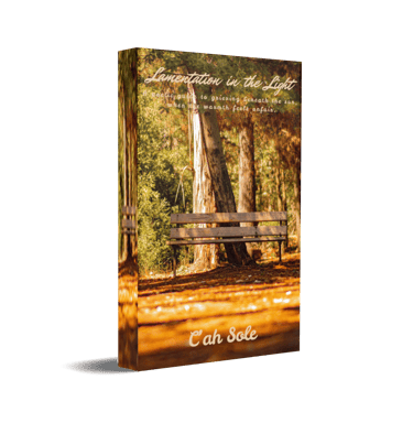 Lamentation in the Light ebook cover by C'ah Sole with shaded wooden bench in forest