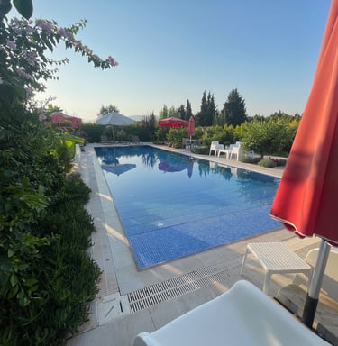Revitalizeinturkey, mandarin grove hotel, Turkey