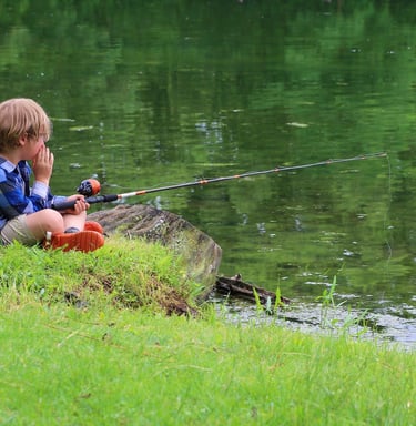 a young boy fishing on a log at the lake