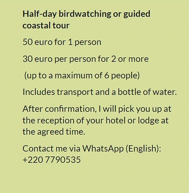 Flyer half-day birdwatching or guided coastal tour in Gambia. Price €50 for 1 person or €30 per pers