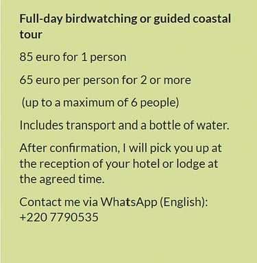 Flyer full-day birdwatching or guided coastal tour in Gambia. Price €85 for 1 person or €65 per pers