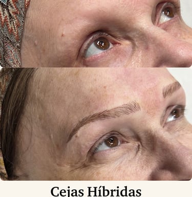 Cejas híbridas