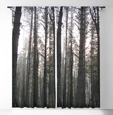 Scottish Highland's Pine Forest Misty Scene in Afterglow Blackout Curtain