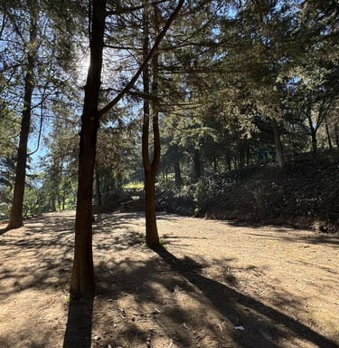 Terraza para eventos woodscape