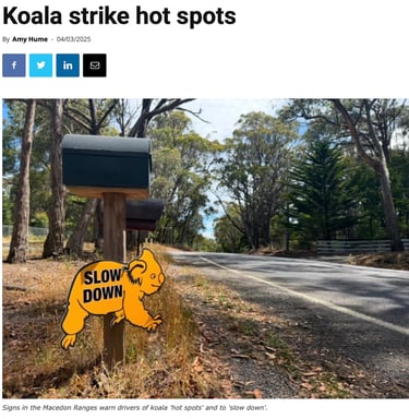 Koala Strike Hot Spots