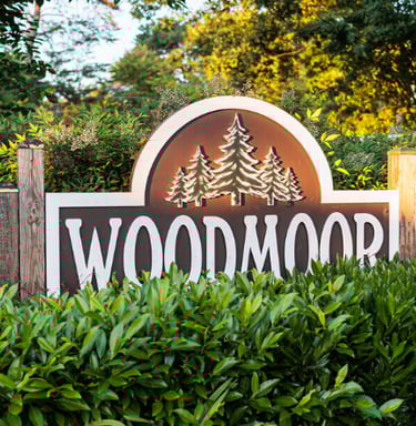 woodmoor mobile detailing colorado springs