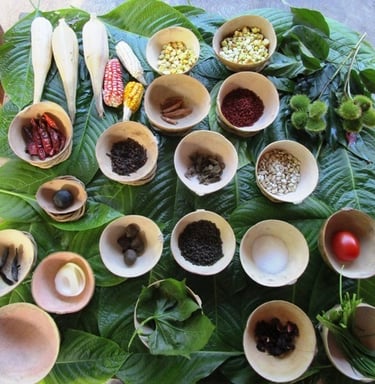 Curso de cocina tradicional maya en la comunidad maya de tres reyes