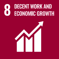 eine rote und weiße Grafik mit der Aufschrift "Decent Work and Economic Growth" 