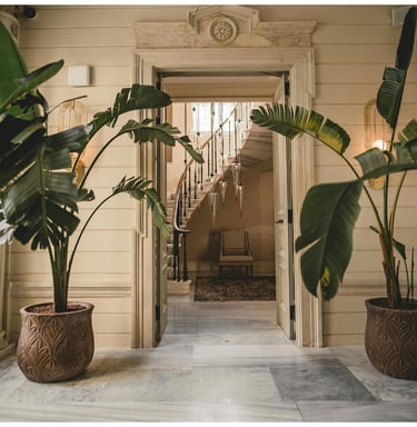 Entrée cage d'escaliers