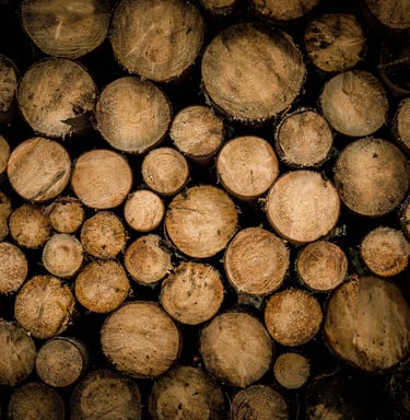 a pile of wood logs with a pile of wood logs