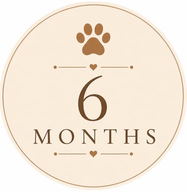 6-month subscription