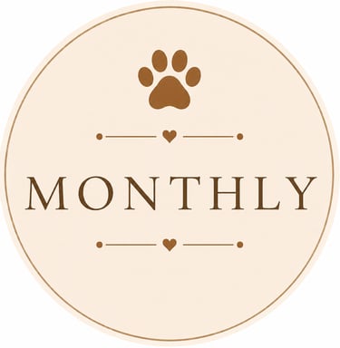 Monthly subscription
