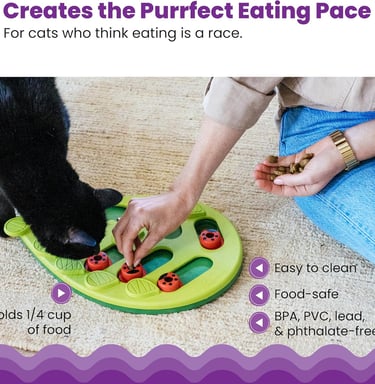 Catstages Buggin' Out Puzzle & Play, Interactive Treat Puzzle Cat Toy, Green