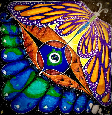 oruga & mariposa