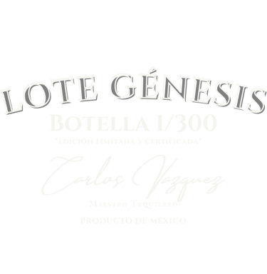 LOTE GENESIS EL VILLANO