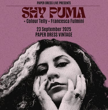 SHY PUMA paper dress vintage