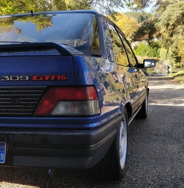 309 GTI16