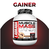 sa protein house gainer