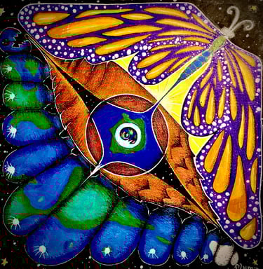 oruga & mariposa