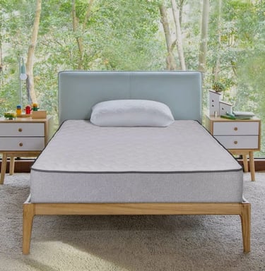 Dual Pro Profiled Mattress.