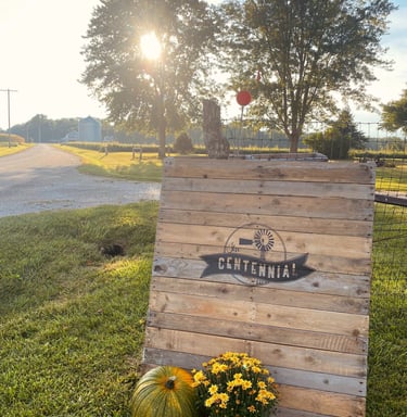 a wooden pallet sign with a pumpkin and mum in the fall