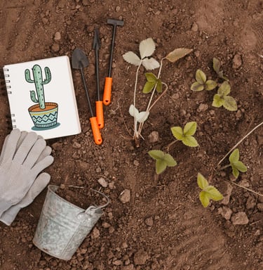 Carnet de notes posé à côté d’un cactus dans la terre, agriculture durable et nature en Afrique