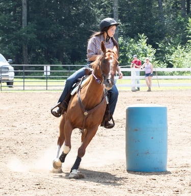 a woman riding a horse in a fenced in area