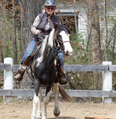 a woman riding a horse in a fenced in area