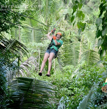 Ultimate Adventure - Zipline into the rainforest canopy