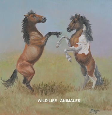 WILD LIFE - ANIMALS